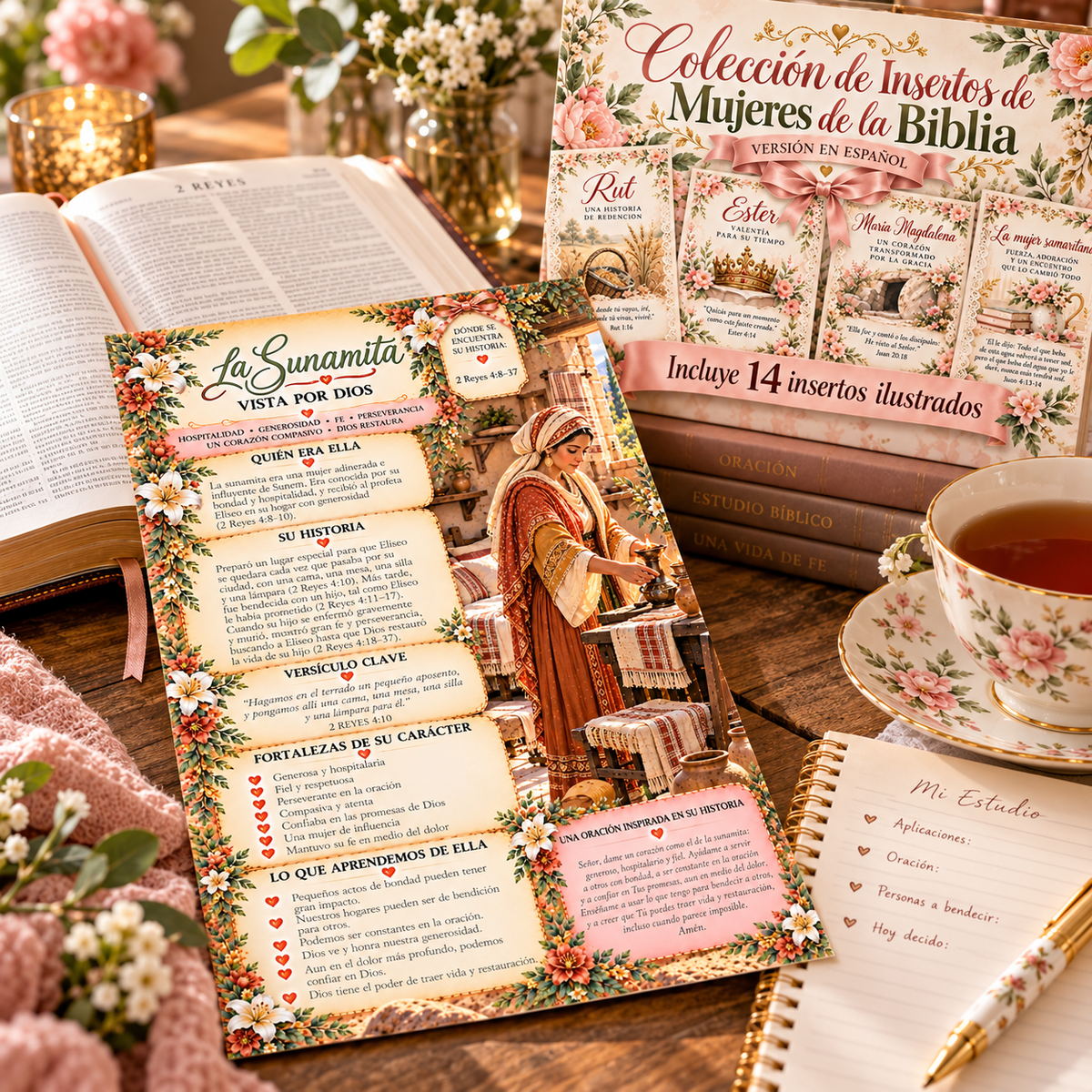 La sunamita inserto de Mujeres de la Biblia en un estudio devocional