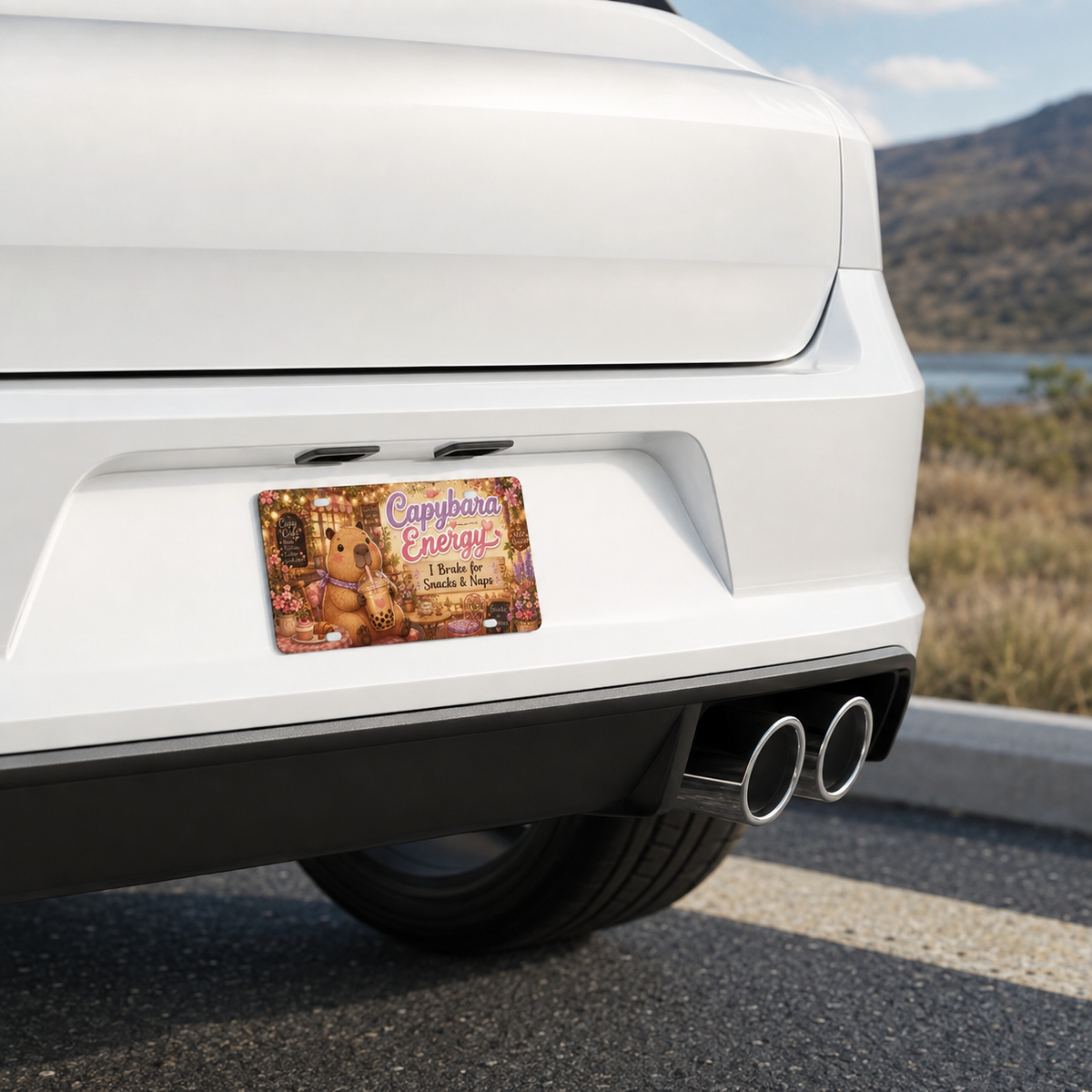 Capybara Energy decorative license plate mounted on the rear of a white car